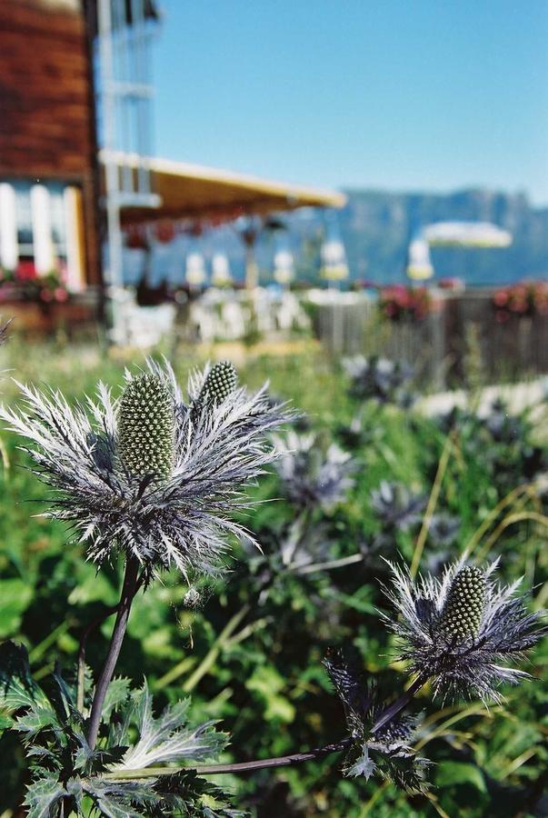 Berghotel Schonhalden Flums Ngoại thất bức ảnh